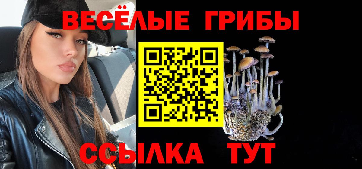 Галлюциногенные грибы MAGIC MUSHROOMS Вичуга