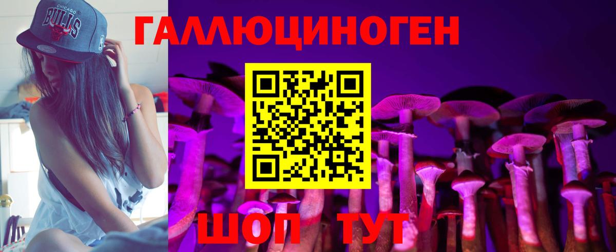 Вичуга  Псилоцибиновые грибы ЛСД  Вход с VPN 